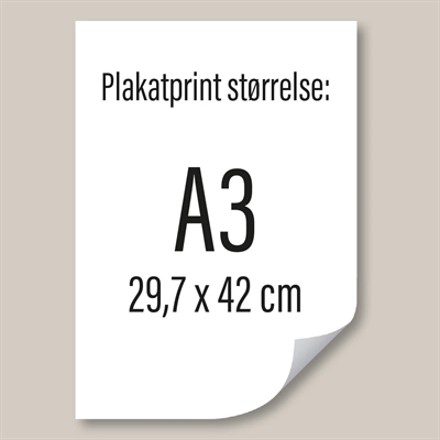 A3 – 29,7 x 42 cm. Poster gedruckt auf PET-Stayflat-Folie