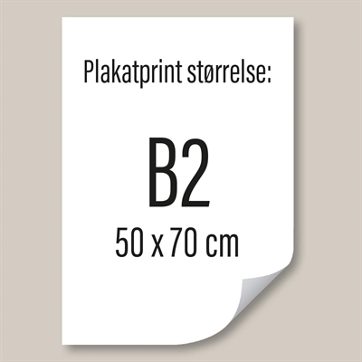 B2 – 50 x 70 cm Poster, gedruckt auf PET-Stayflat-Folie