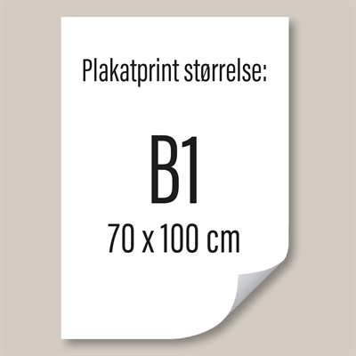 B1 – 70 x 100 cm Poster gedruckt auf PET-Stayflat-Folie