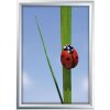 Klapprahmen mit 25mm Aluminiumprofil, silber - 70 x 100 cm #1