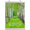 Posterklemmen-Set, Posterleiste mit 25mm Aluminium-Posterstreifen - 85 cm (A0) #3