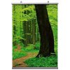 Posterleiste Doppelseitig, Satz, 21 cm - B0 - 100 cm #2