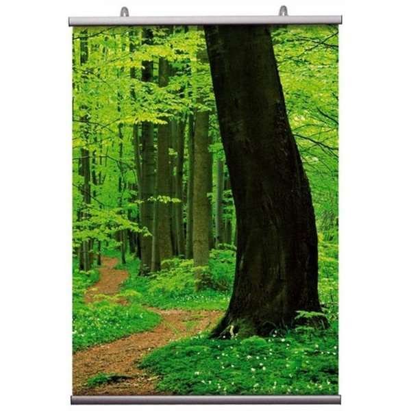 Posterleiste Doppelseitig, Satz, 21 cm - B0 - 100 cm