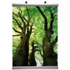 Banner-Line Set, Posterleiste mit 30mm Alu-Posterleisten - 100cm (B0) #3