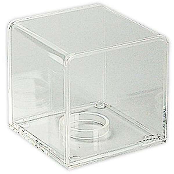 Showcase Quadratisch - Transparent
