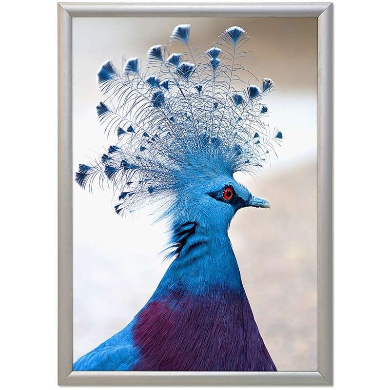 Klapprahmen mit 17mm Aluminiumprofil, silber - 50 x 70 cm