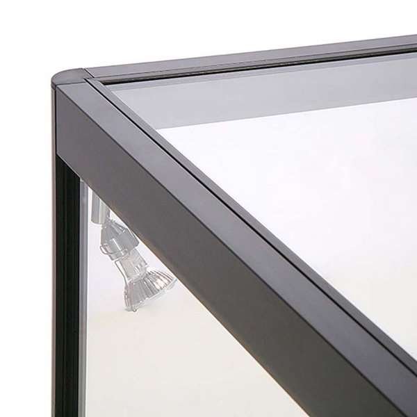 Vitrine - Showcase Counter Solo Glasvitrine mit LED-Licht und Schloss - Schwarz