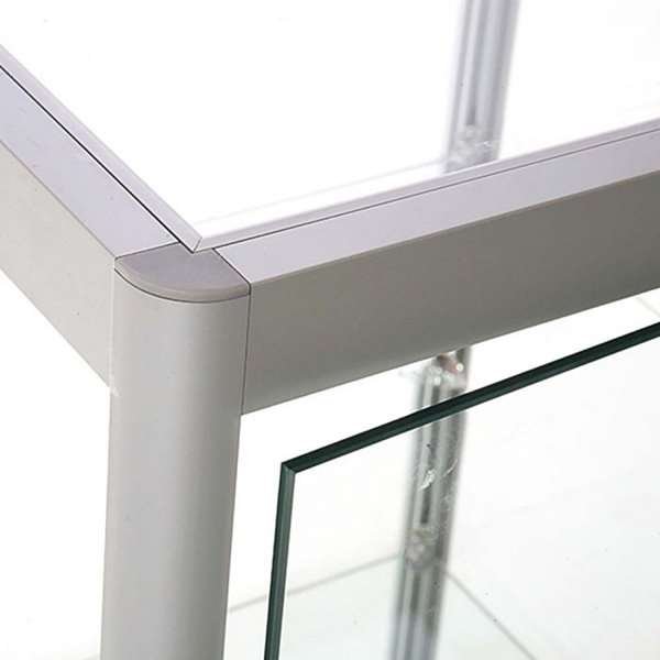 Vitrine - Showcase Counter Solo Glasvitrinen - Silber