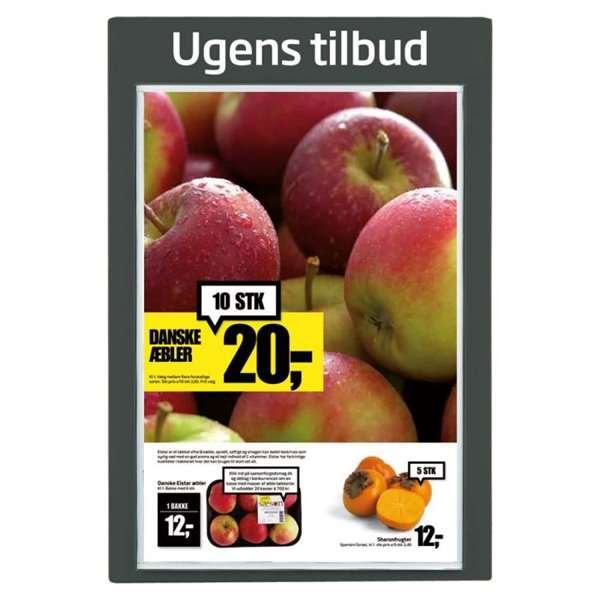 Info-Modultafel aus Kunststoff mit APET-Frontplatten, anthrazit - 1xA1