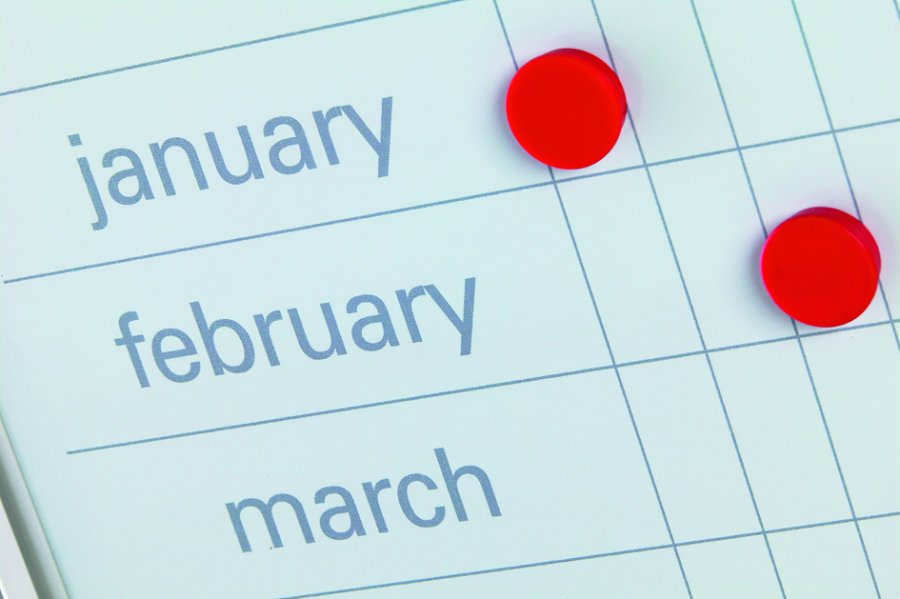 Planungstafel - Jahreskalender mit Tagen - 60x120 cm