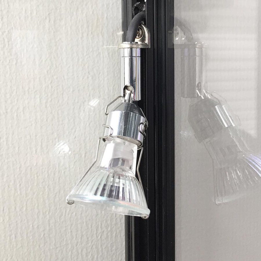 Halogen-Spothalter für Showcase