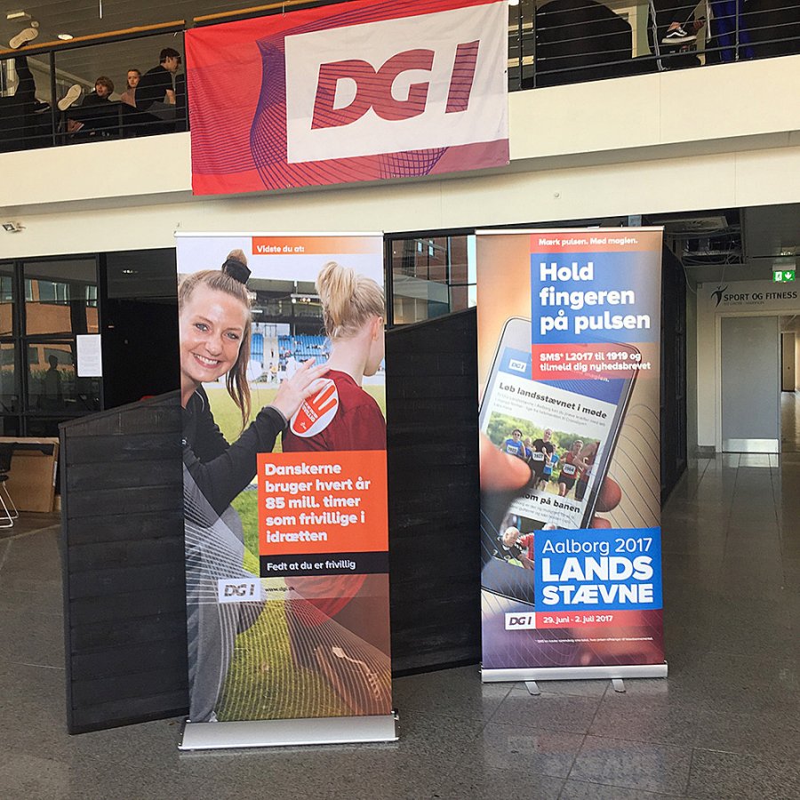 Lux Roll-up Kassette, silber, einseitig, 56 x 230 cm