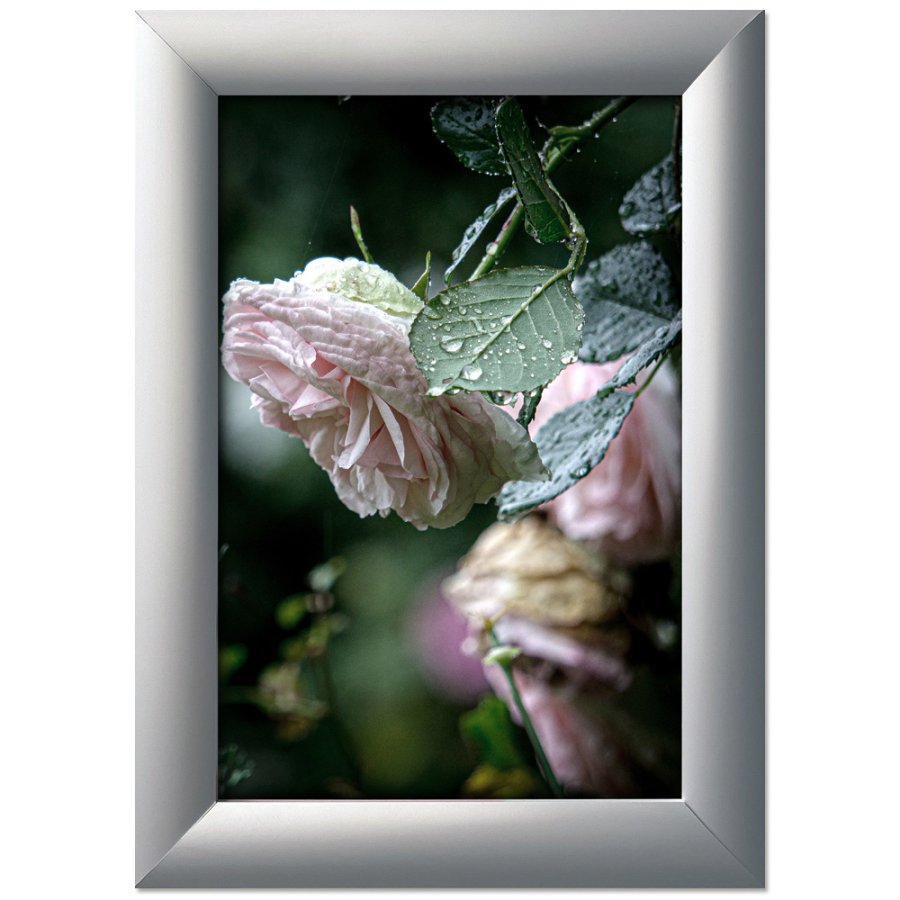 Klapprahmen mit 45mm Aluminiumprofil, silber - 70 x 100 cm