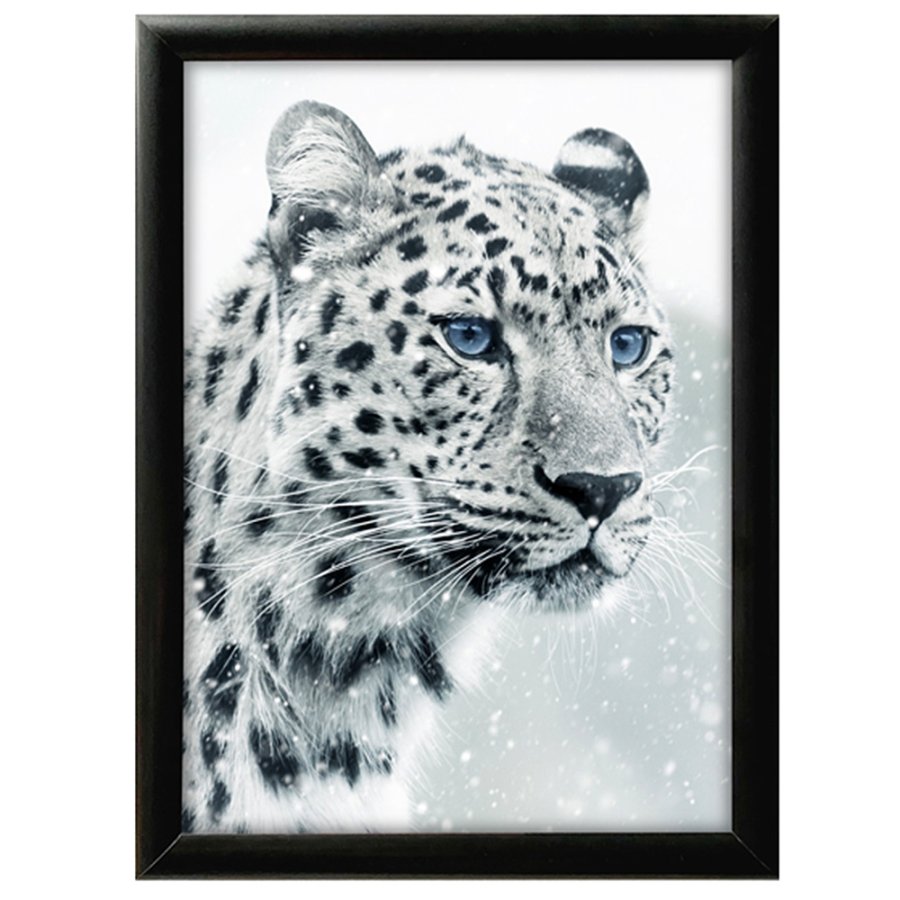 Klapprahmen mit 25mm Aluminiumprofil, schwarz - 70x100 cm