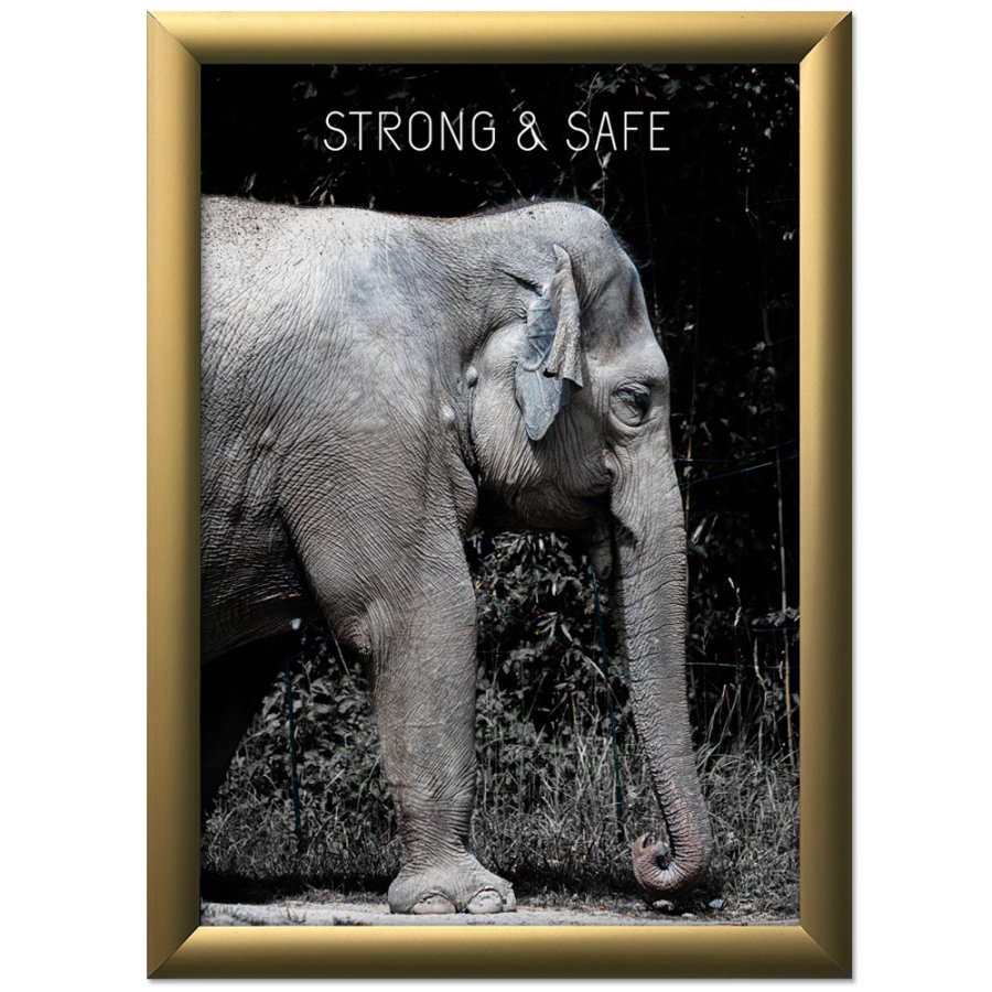 Klapprahmen mit 25mm Aluminiumprofil, gold - 70 x 100 cm