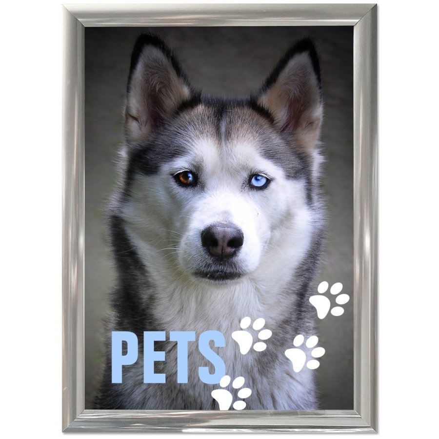 Klapprahmen mit 25mm Aluminiumprofil, Stahloptik - 50x70 cm