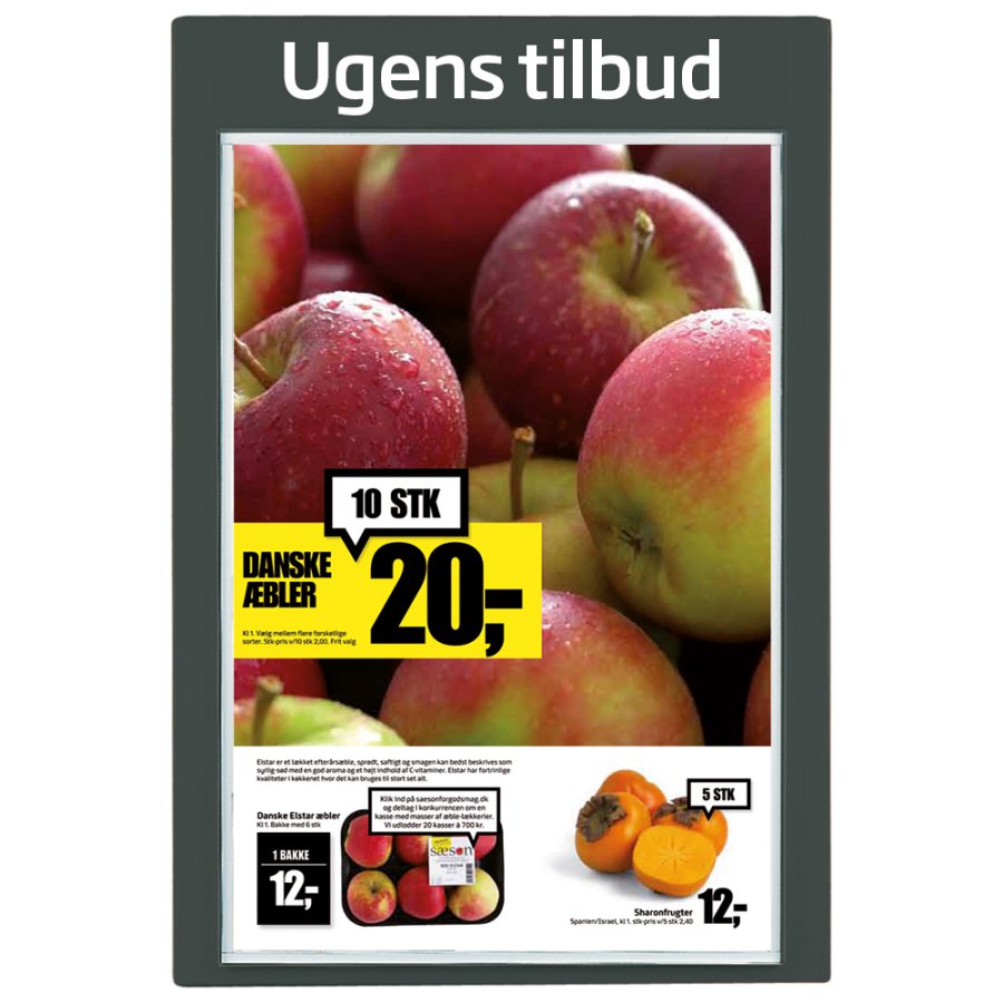 Info-Modultafel aus Kunststoff mit APET-Frontplatten, anthrazit - 1xA1