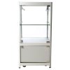 Vitrine - Showcase Counter Solo Glasvitrine mit Unterschrank, LED-Licht und Schloss - Silber #3